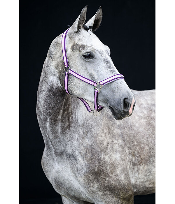 Headcollar Essential II