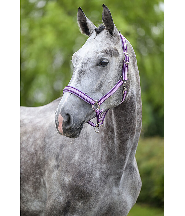 Headcollar Essential II