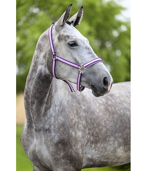 Headcollar Essential II