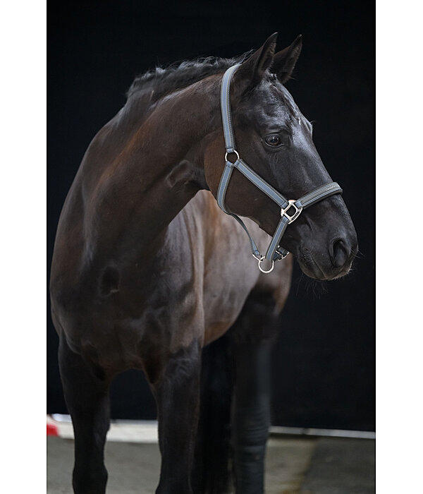 Headcollar Essential II