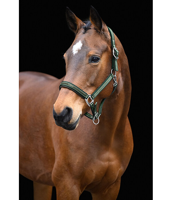 Headcollar Essential II