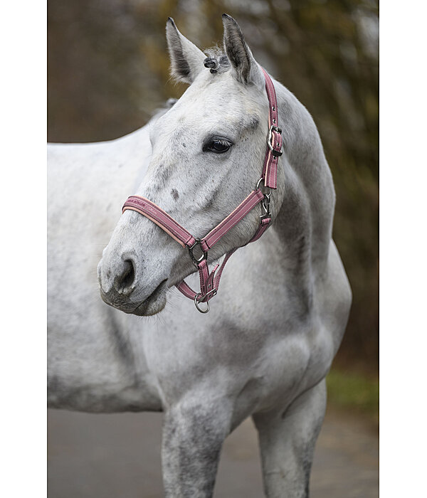 Headcollar Essential II