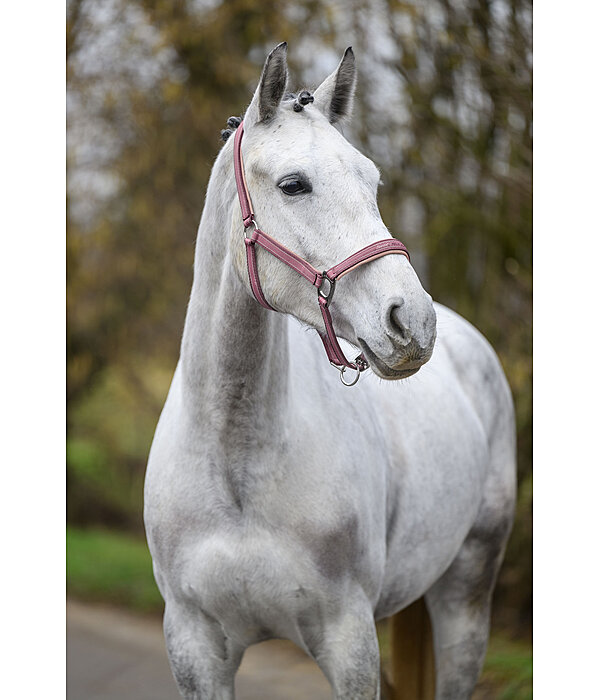 Headcollar Essential II
