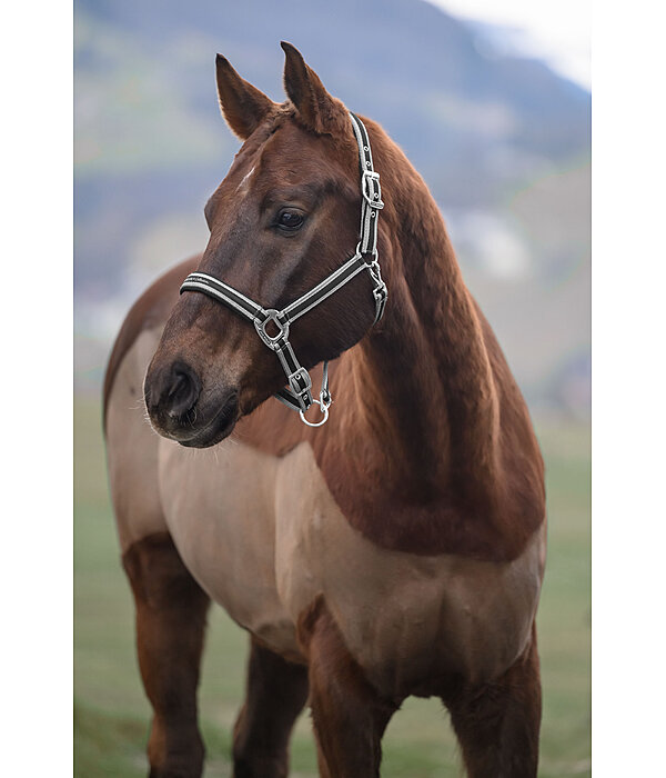 Headcollar Essential II