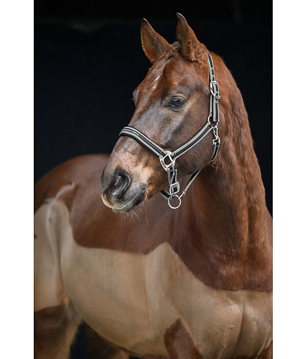 Headcollar Essential II
