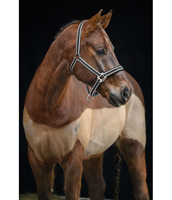 Headcollar Essential II