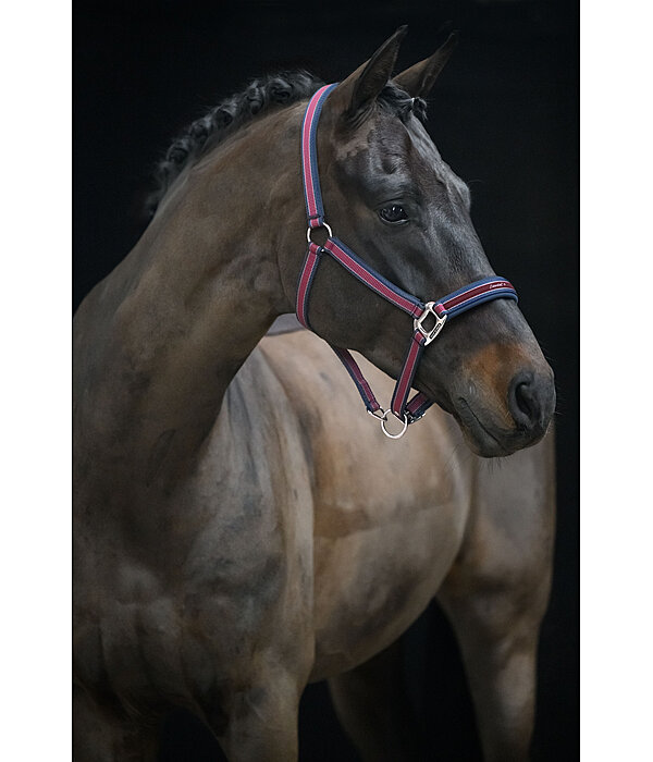 Headcollar Essential II