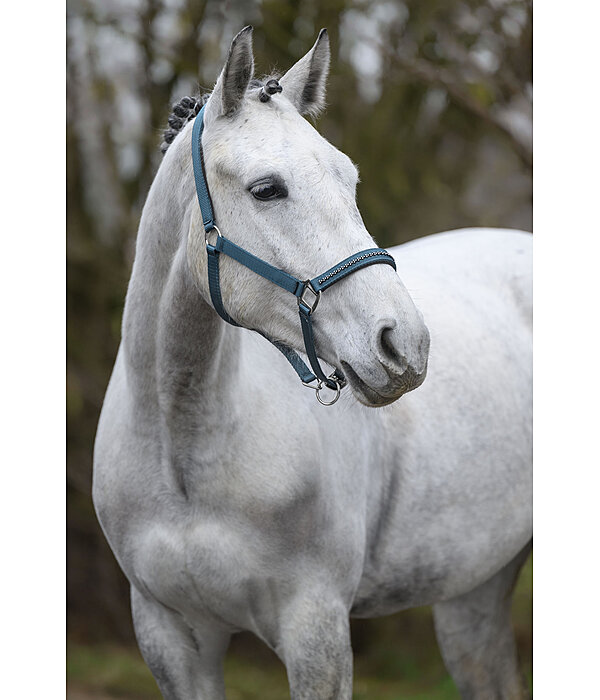 Headcollar Twinkle