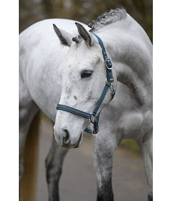 Headcollar Twinkle