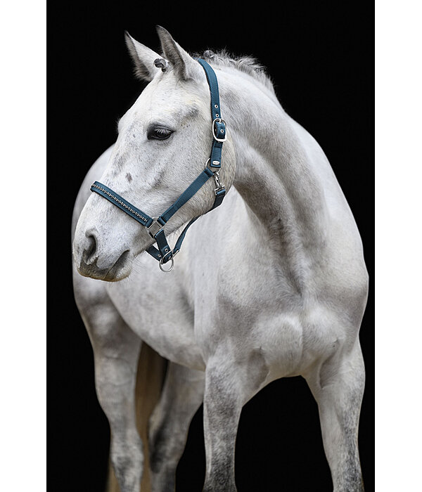 Headcollar Twinkle