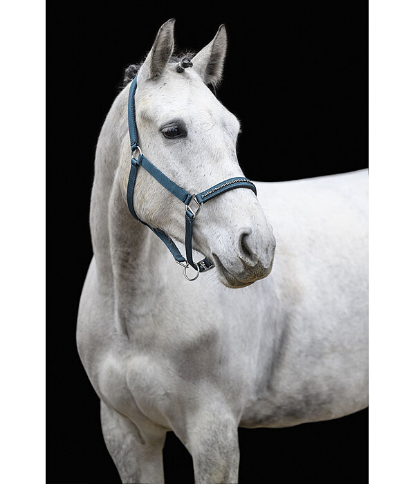 Headcollar Twinkle