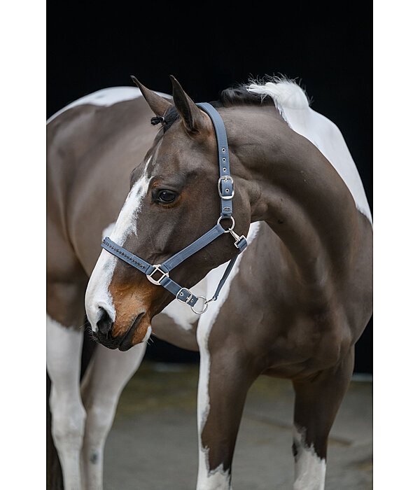 Headcollar Twinkle Moments