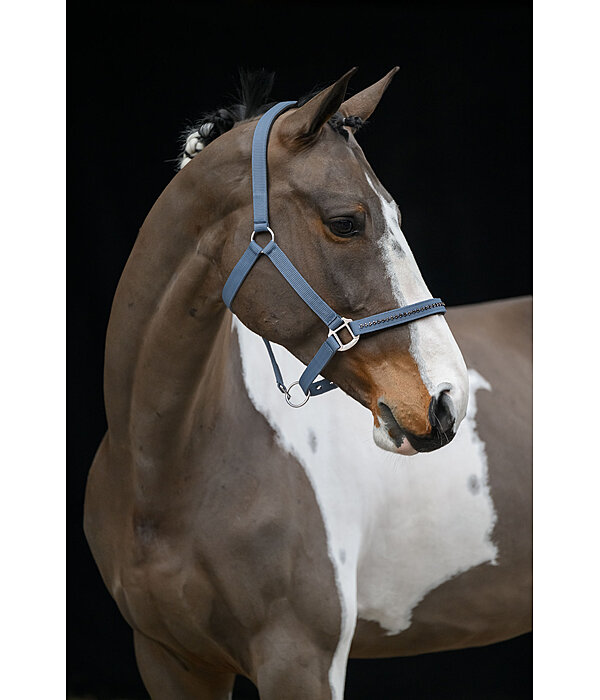 Headcollar Twinkle Moments