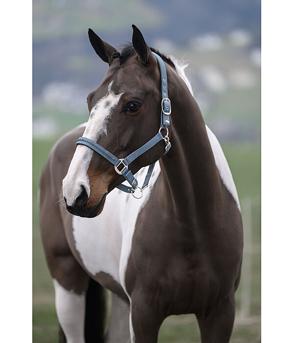 Headcollar Twinkle Moments