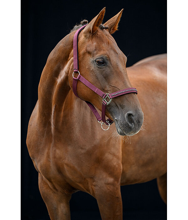 Headcollar Twinkle