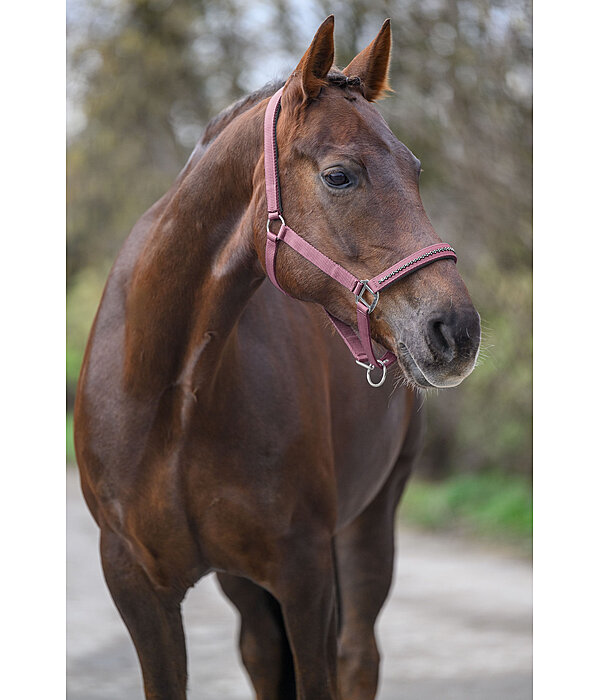 Headcollar Twinkle