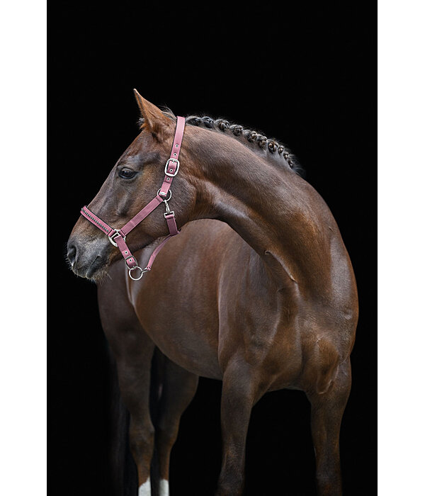 Headcollar Twinkle