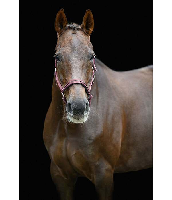 Headcollar Twinkle