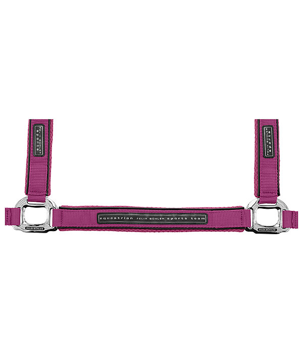 Headcollar Mesh Technology