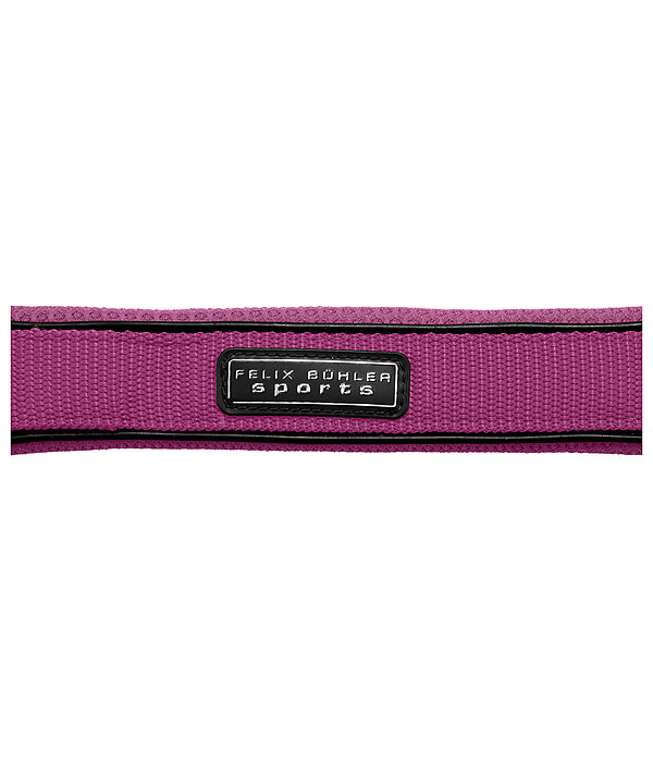 Headcollar Mesh Technology