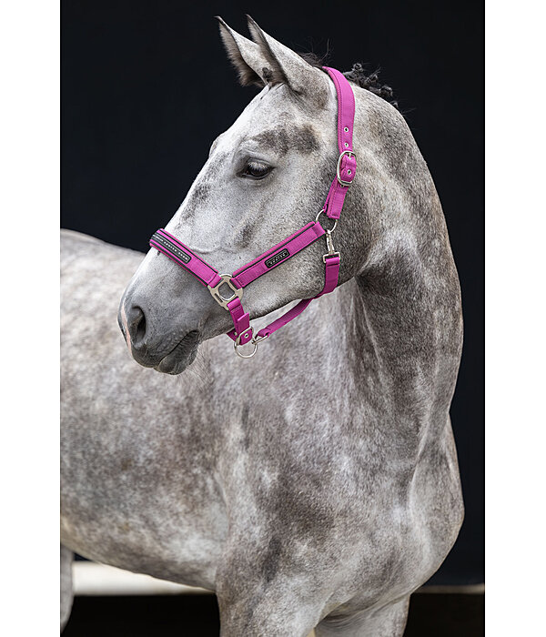 Headcollar Mesh Technology