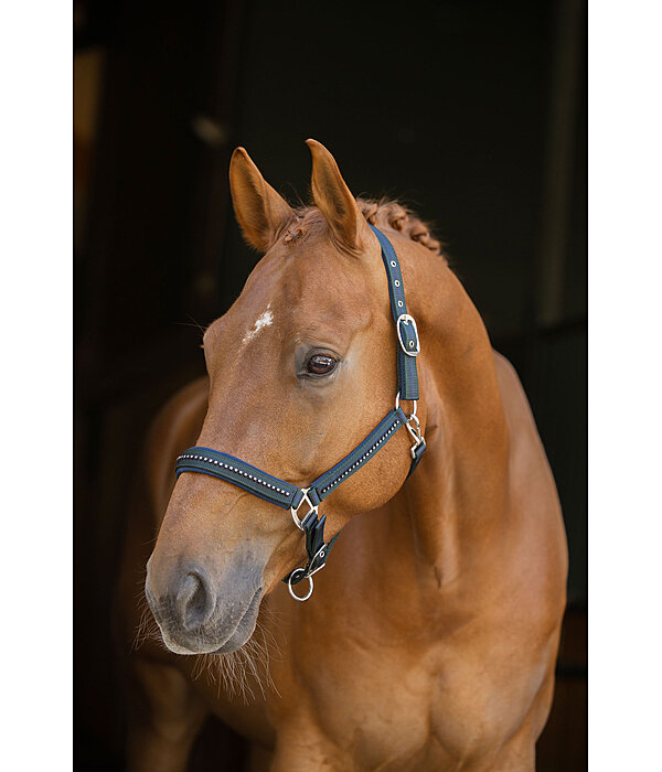 Headcollar Twotone & Crystal