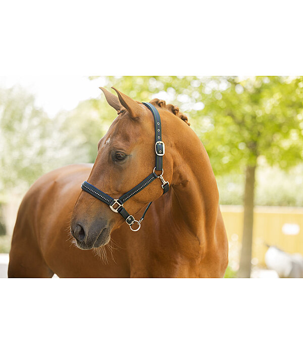 Headcollar Twotone & Crystal