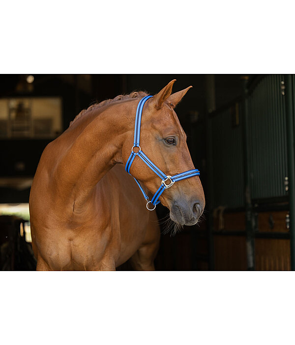 Headcollar Twotone & Crystal