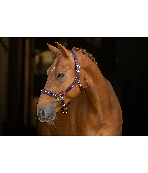Headcollar Twotone & Crystal