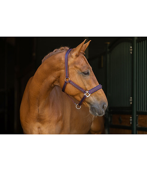 Headcollar Twotone & Crystal