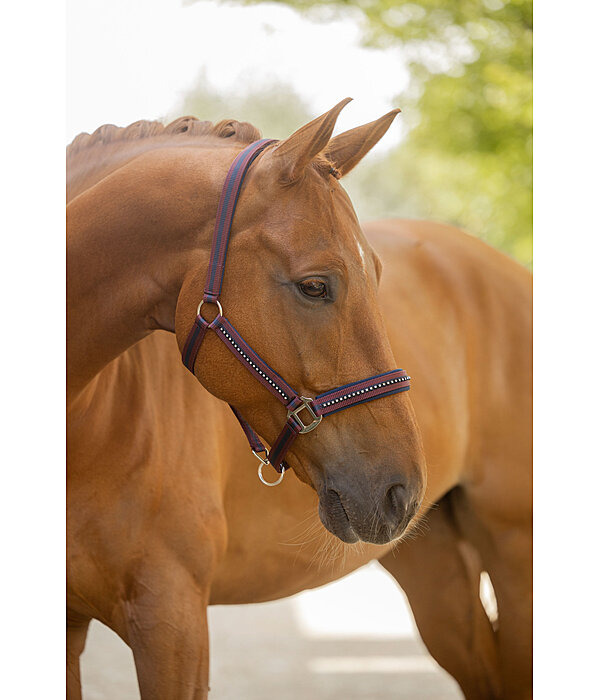 Headcollar Twotone & Crystal