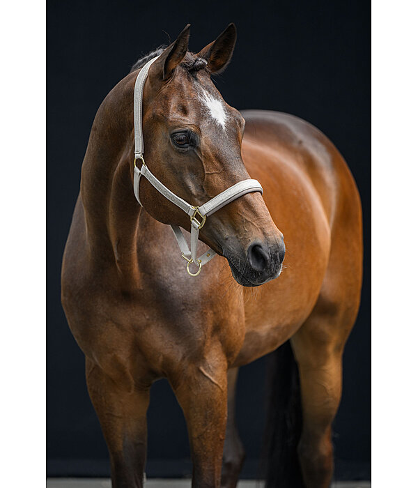 Headcollar Signature III