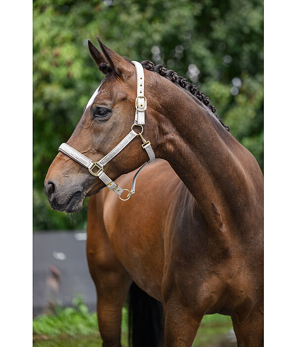 Headcollar Signature III