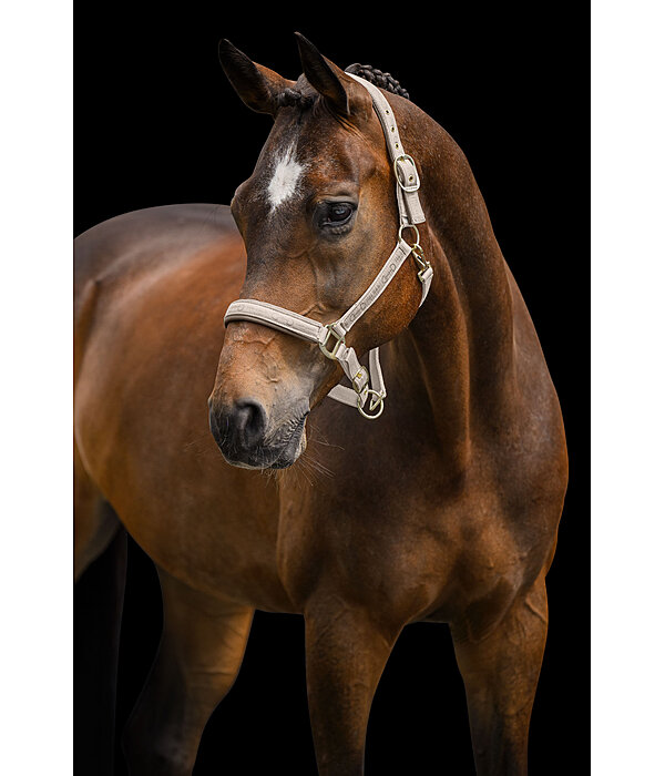 Headcollar Signature III