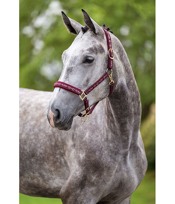 Headcollar Signature III