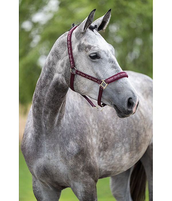 Headcollar Signature III