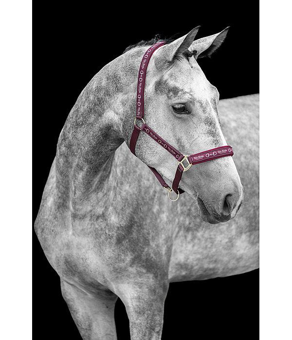 Headcollar Signature III