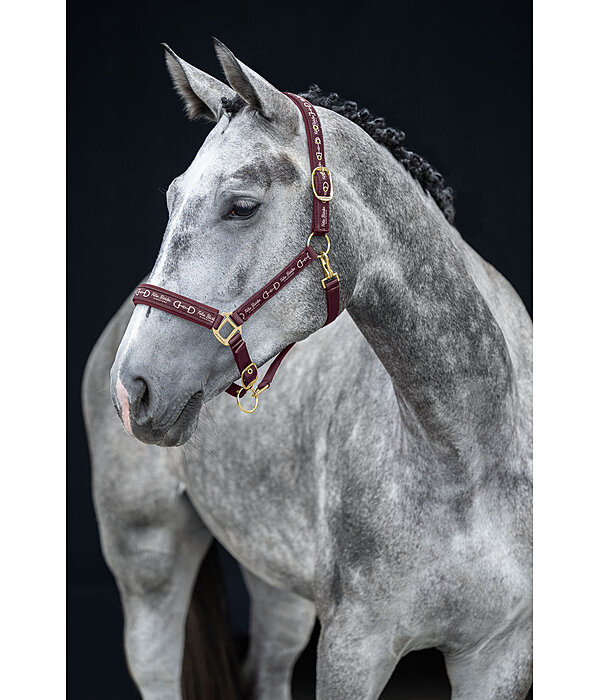 Headcollar Signature III