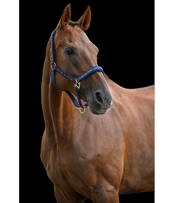 Headcollar Signature III