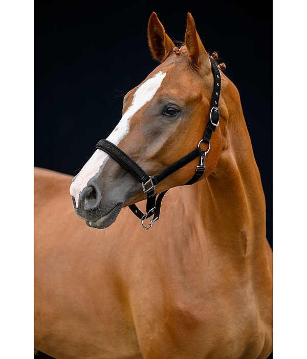 Headcollar Signature III