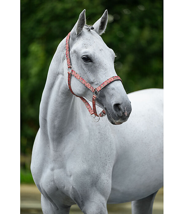 Headcollar Flowers
