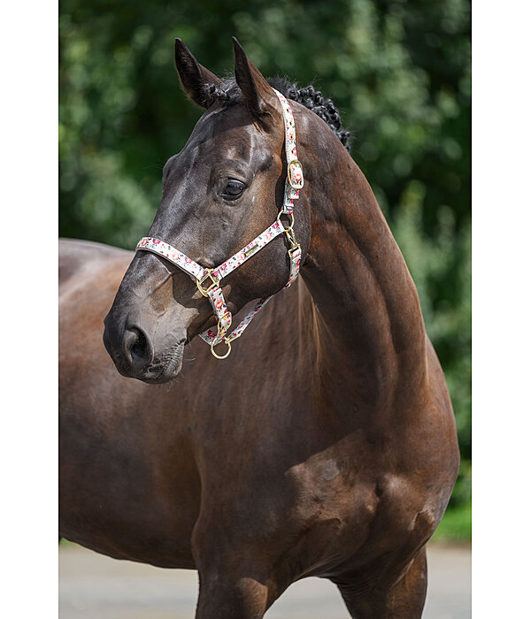Headcollar Flowers
