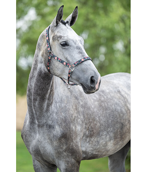 Headcollar Flowers