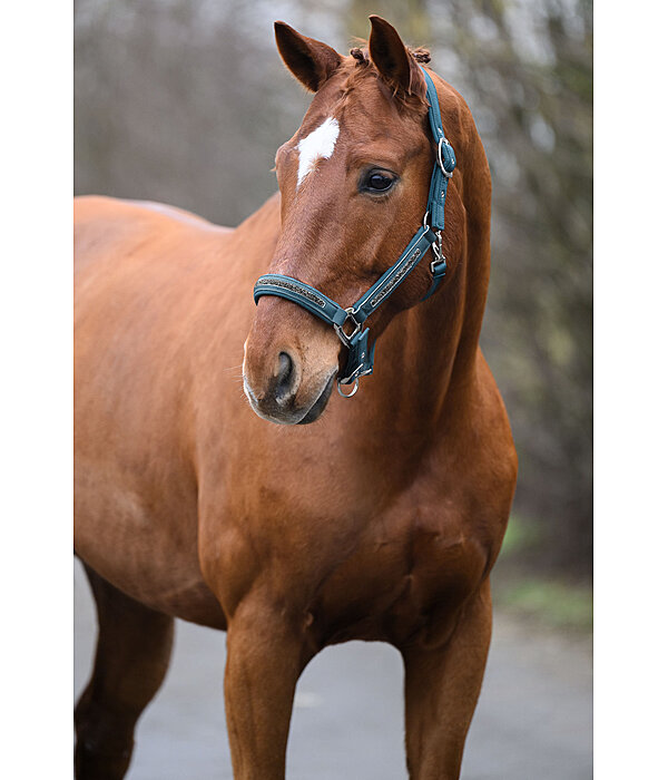 Headcollar Glitter Stone