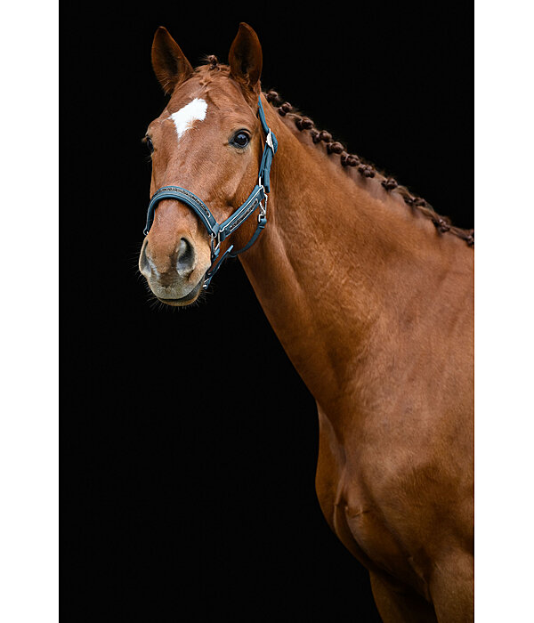 Headcollar Glitter Stone