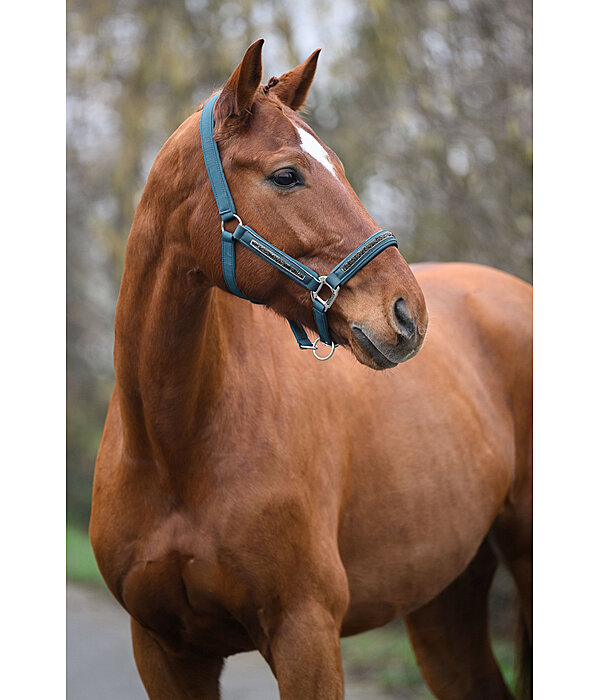 Headcollar Glitter Stone
