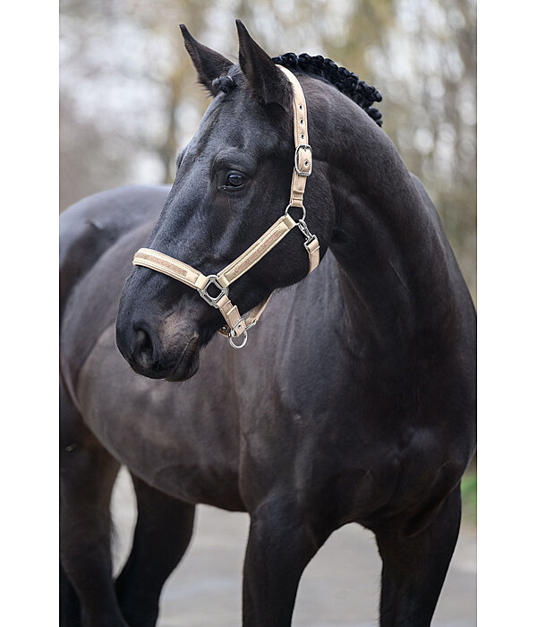 Headcollar Glitter Stone