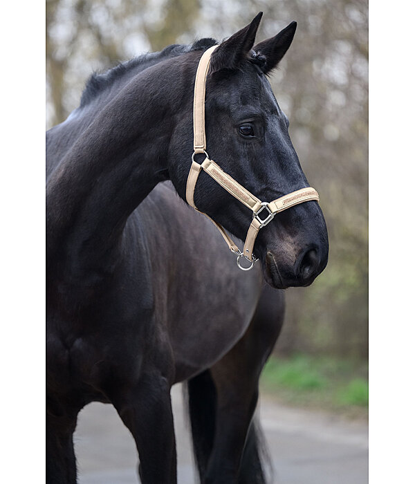 Headcollar Glitter Stone