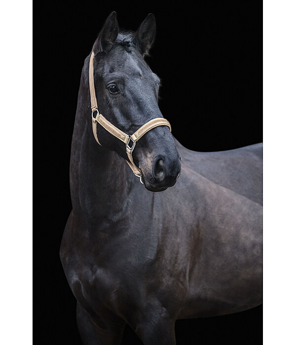 Headcollar Glitter Stone