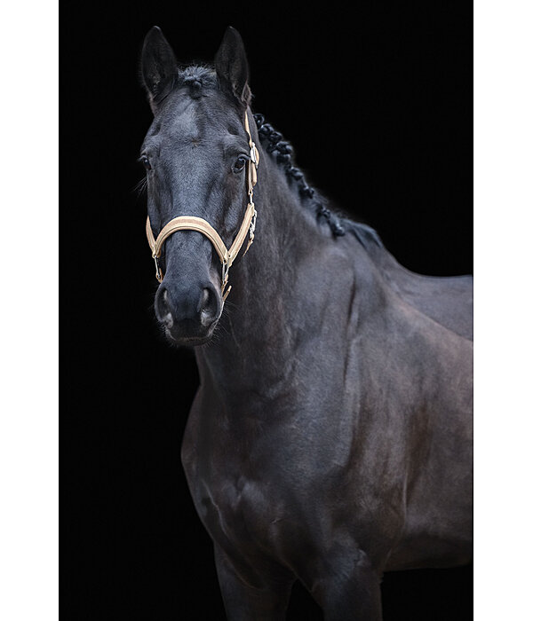 Headcollar Glitter Stone